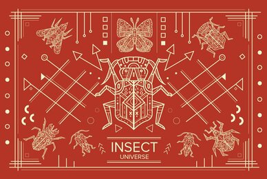 Insect Universe