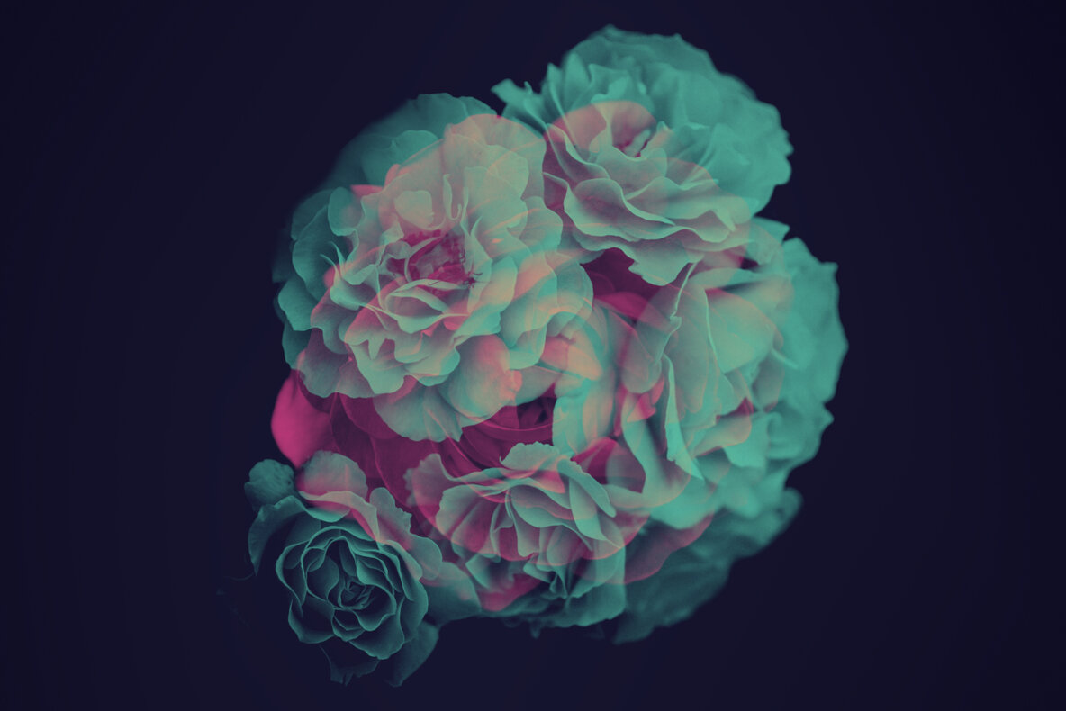 Elegant Flower Brushes for Photoshop Elegant Flower Brushes for Photoshop