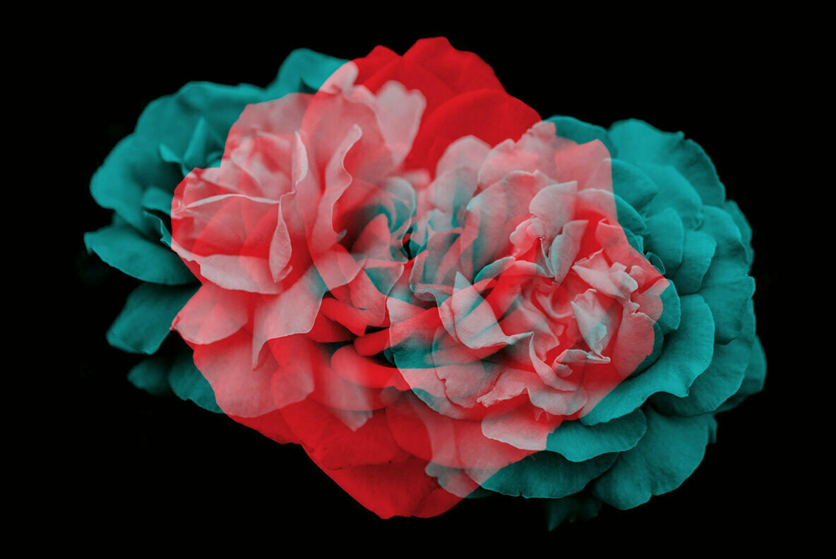Elegant Floral Brushes for Photoshop Elegant Floral Brushes for Photoshop