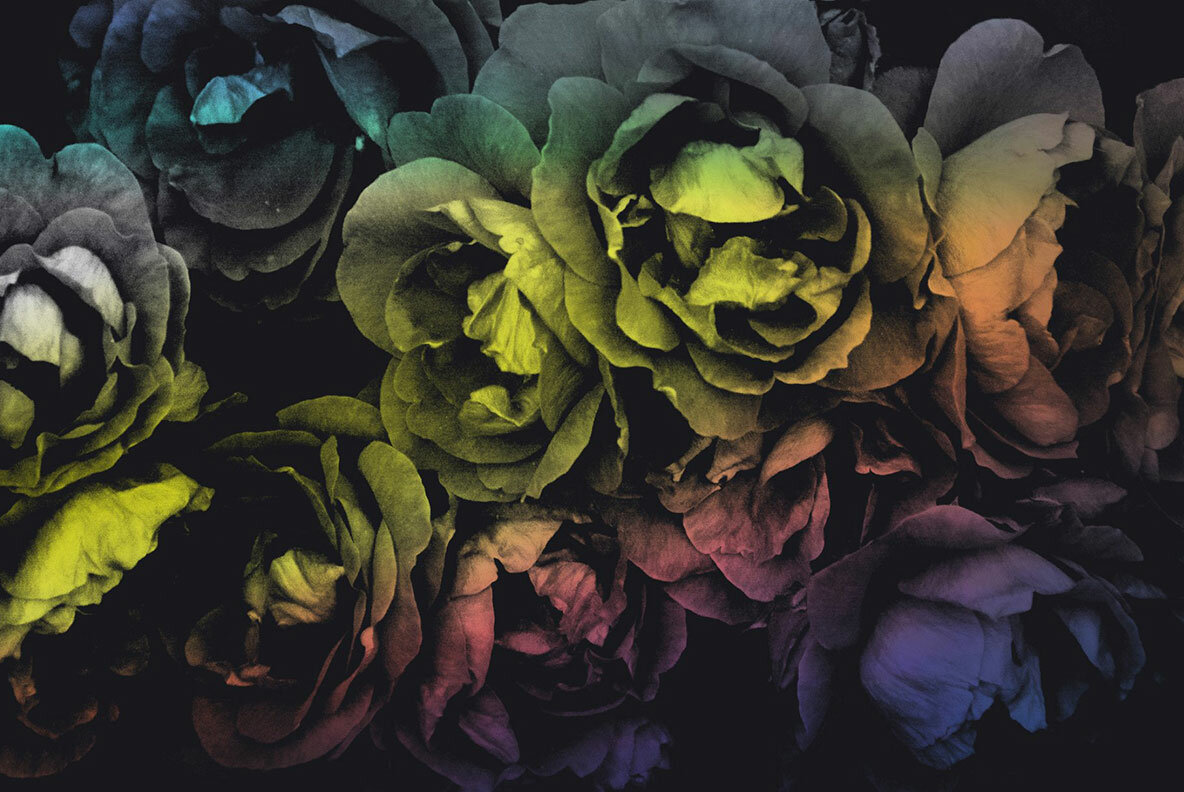 Elegant Floral Brushes for Photoshop Elegant Floral Brushes for Photoshop