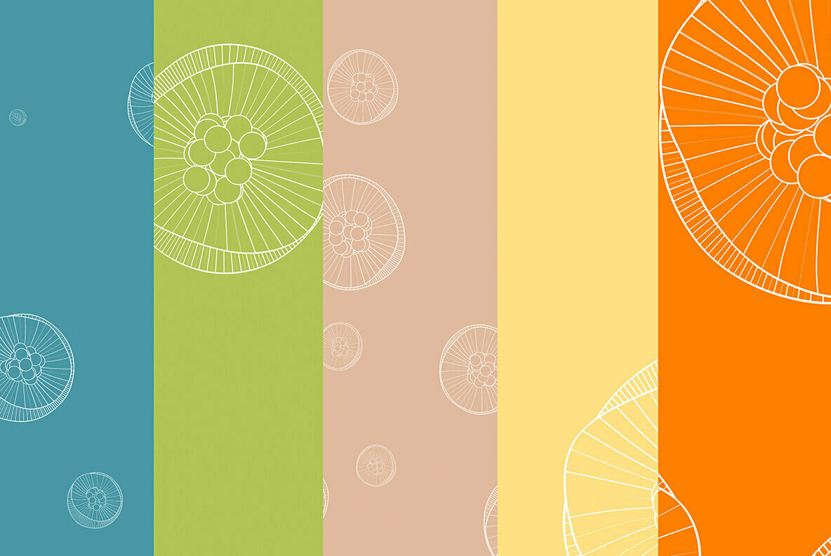 Jellyfish Backgrounds Jellyfish Backgrounds