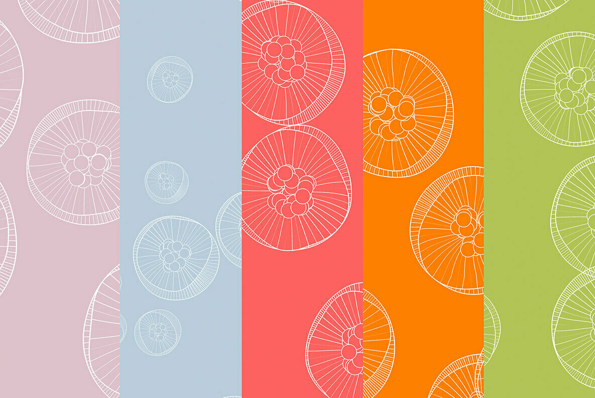 Jellyfish Backgrounds Jellyfish Backgrounds