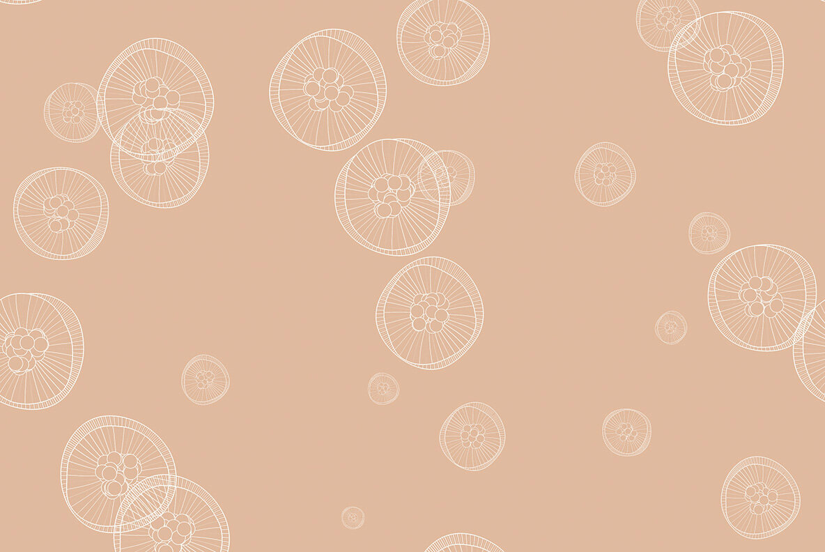 Jellyfish Backgrounds Jellyfish Backgrounds