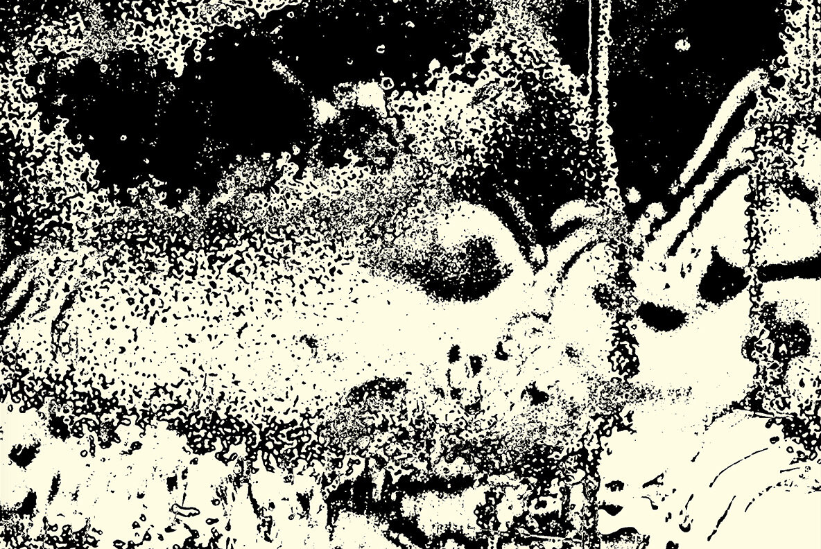 Surface Melt Surface Melt