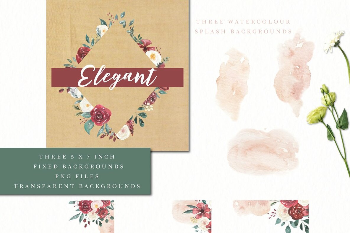 Claret Cream Flower Watercolor Package Claret Cream Flower Watercolor Package