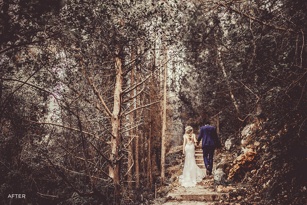 Dreamy Pastel Wedding Lightroom Presets Dreamy Pastel Wedding Lightroom Presets