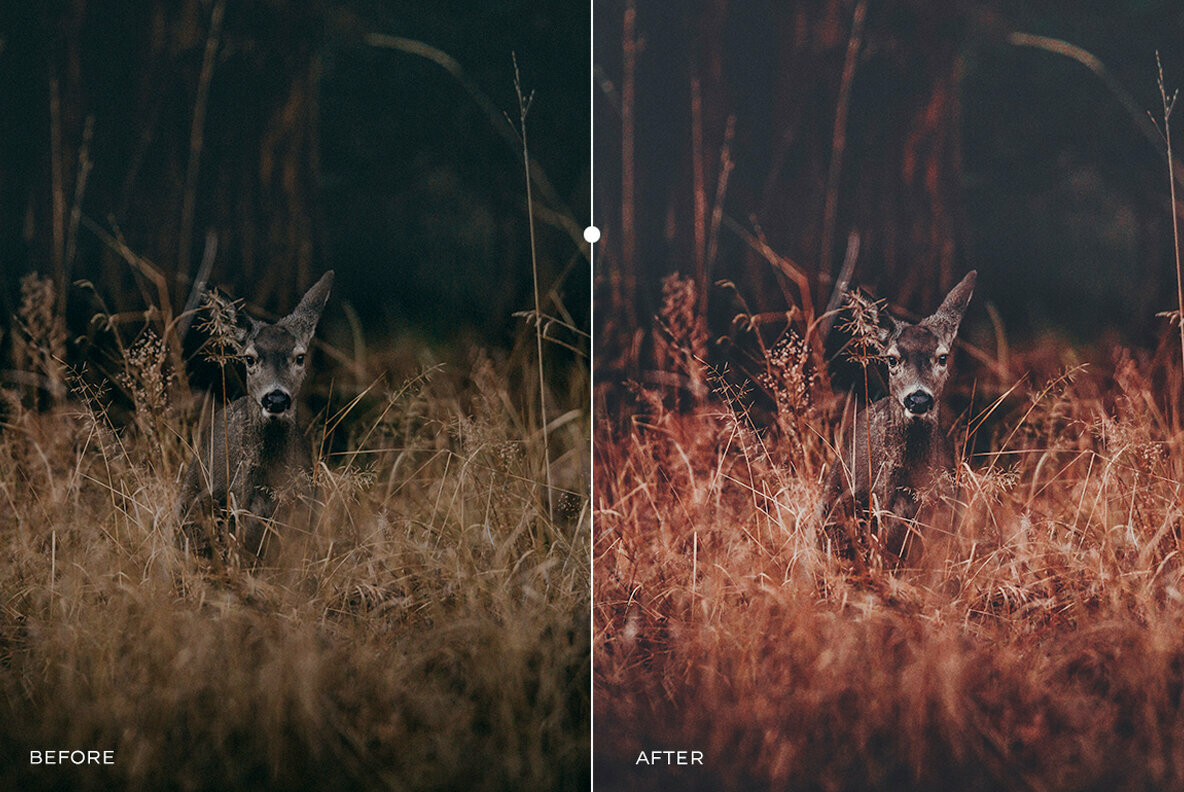 Dreamy Pastel Travel Lightroom Presets Dreamy Pastel Travel Lightroom Presets