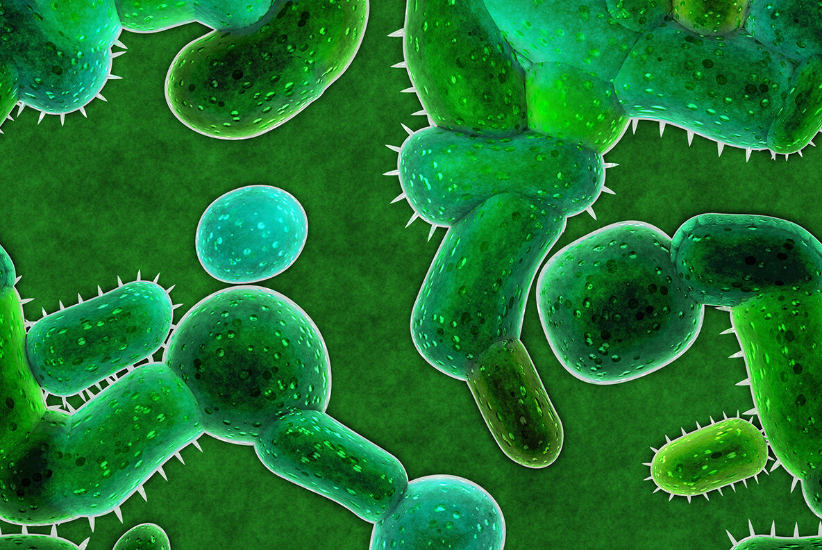 Bacteria Cell Backgrounds 11