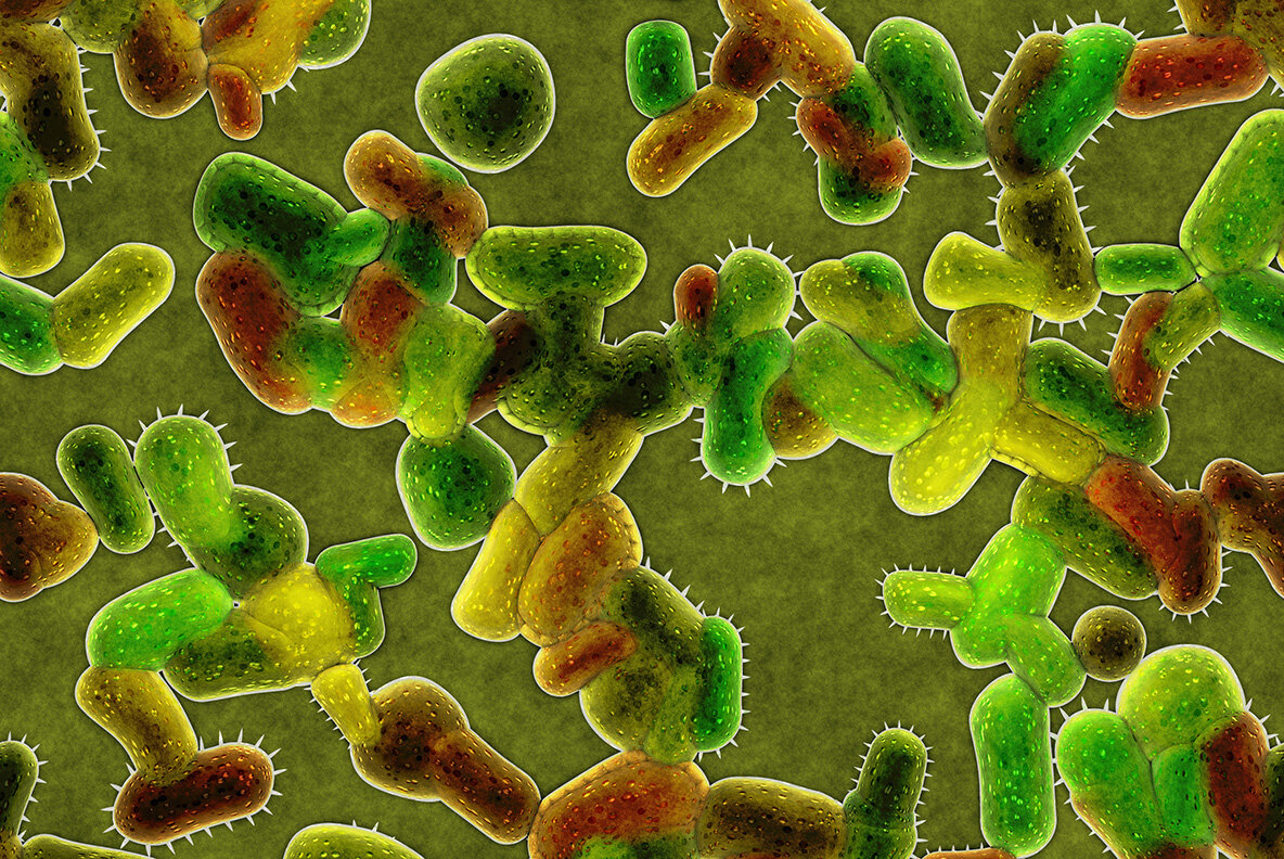 Bacteria Cell Backgrounds 13