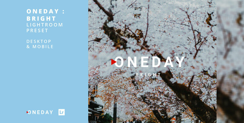 Oneday Bright Lightroom Presets