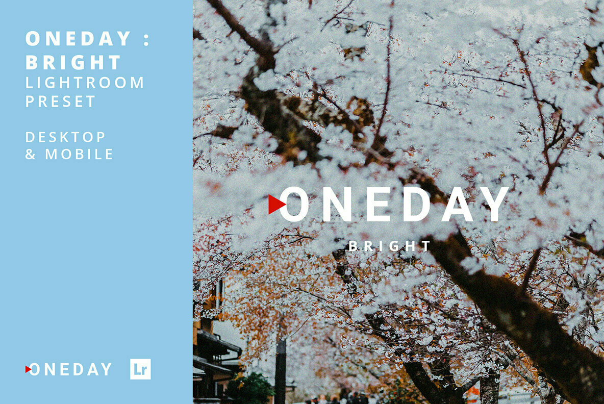 Oneday Bright Lightroom Presets Oneday Bright Lightroom Presets