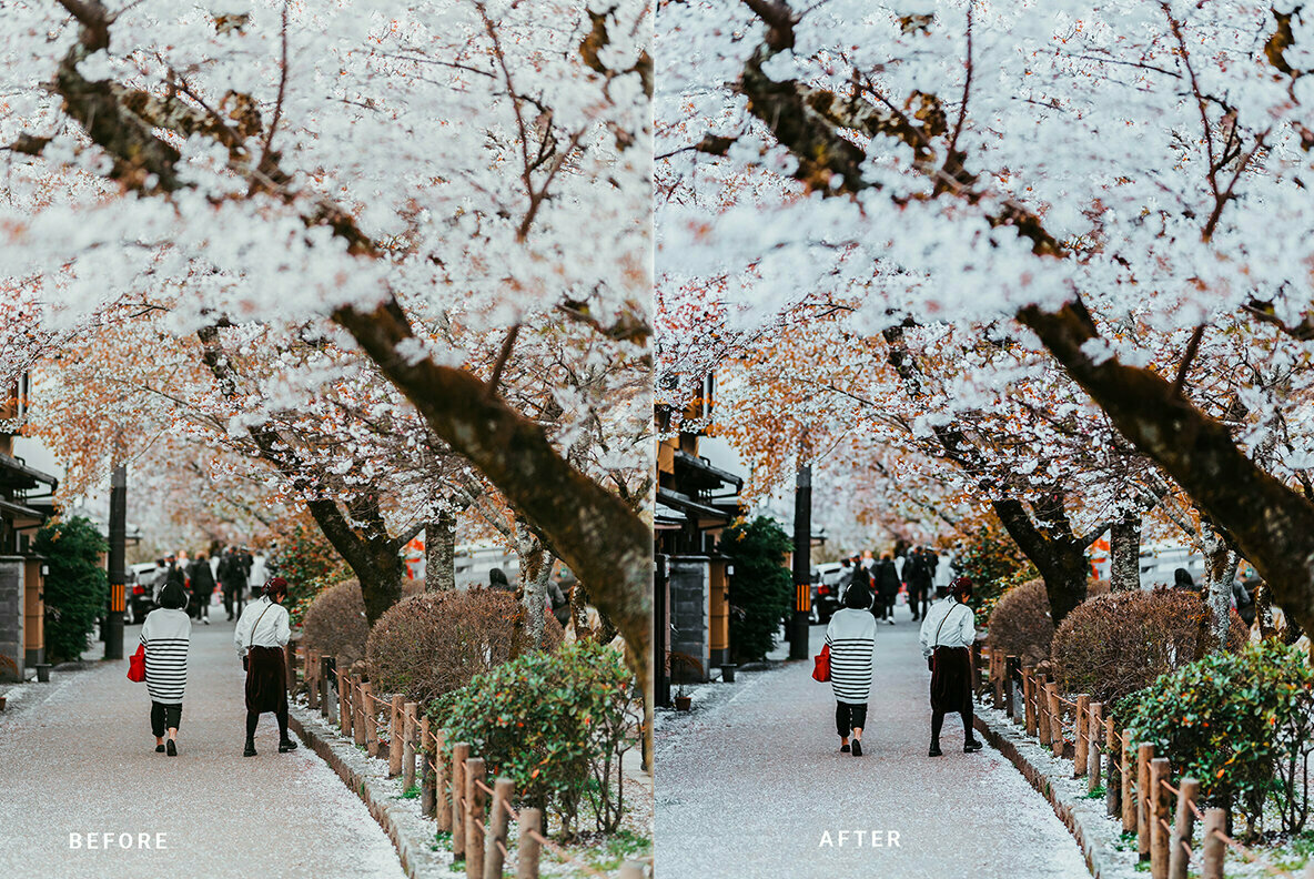 Oneday Bright Lightroom Presets Oneday Bright Lightroom Presets