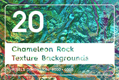 20 Chameleon Rock Texture Backgrounds