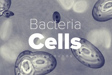 Bacteria Cell Backgrounds 2