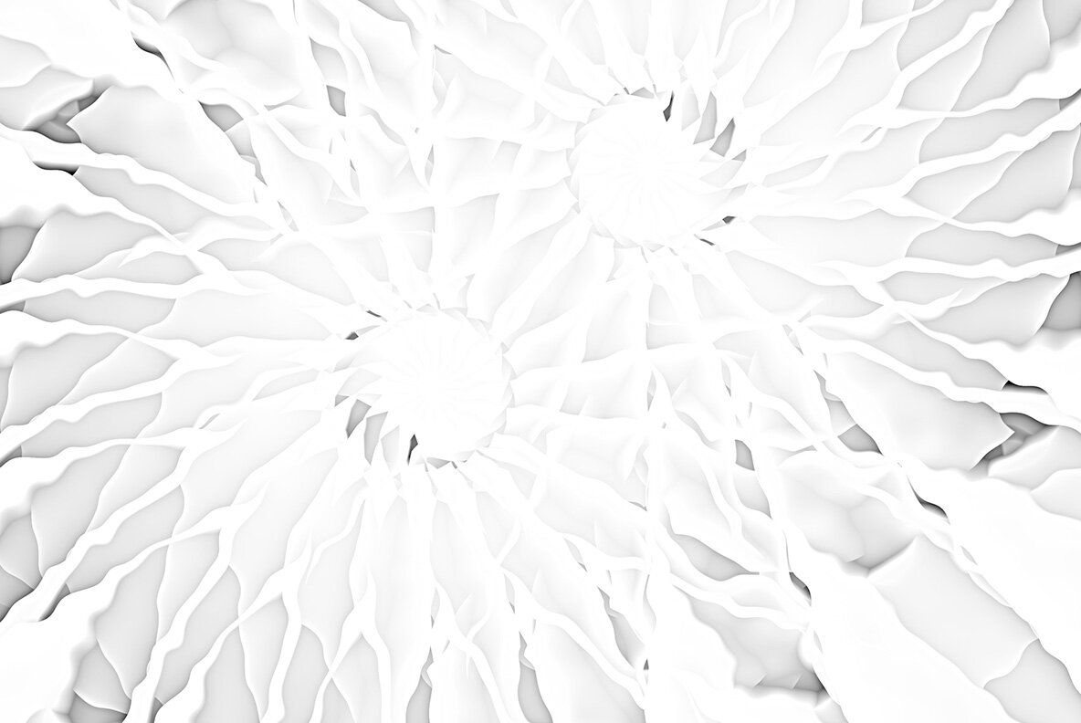 White Backgrounds 5 11