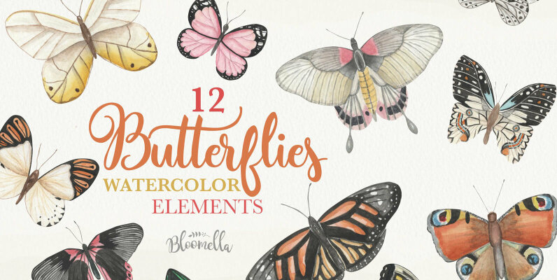 Butterfly Watercolor Package