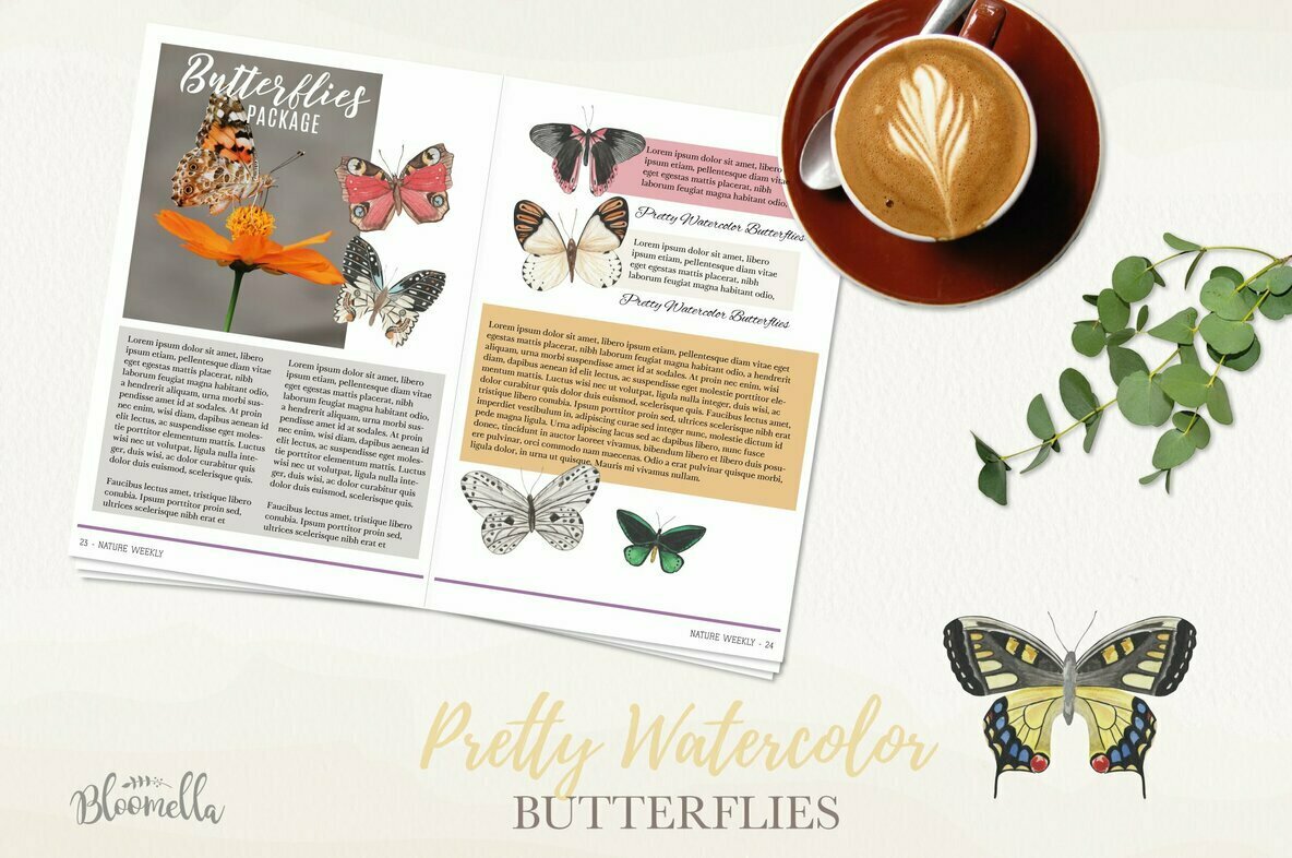 Butterfly Watercolor Package Butterfly Watercolor Package