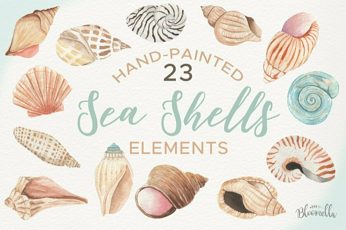 Sea Shells Elements Watercolor Package 1