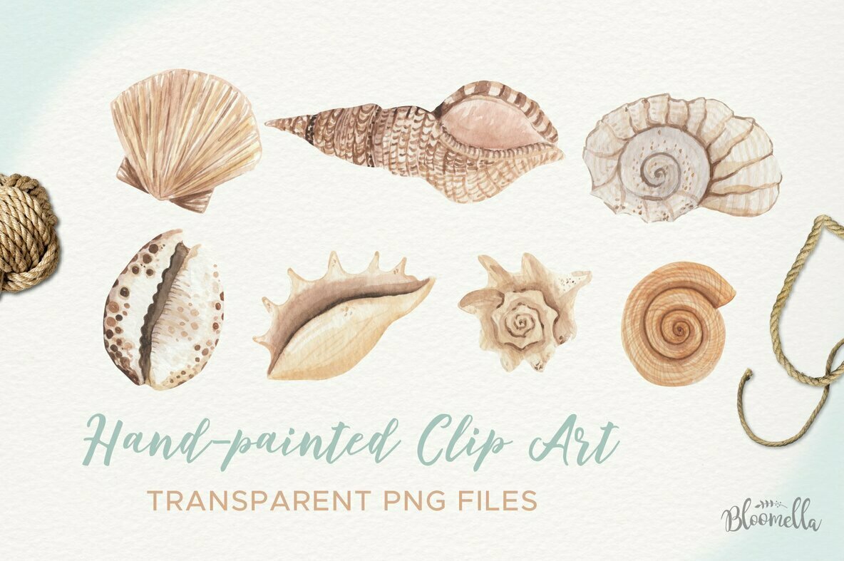 Sea Shells Elements Watercolor Package 2