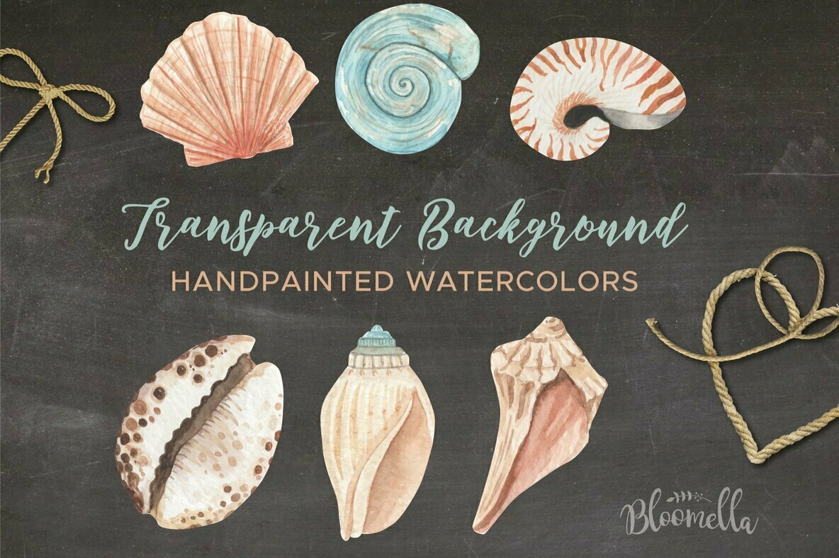 Sea Shells Elements Watercolor Package 3