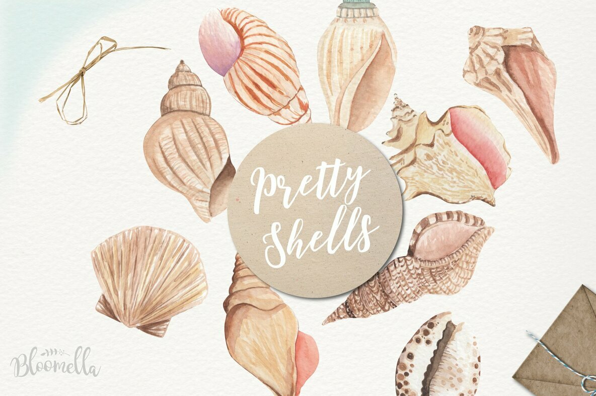 Sea Shells Elements Watercolor Package 4