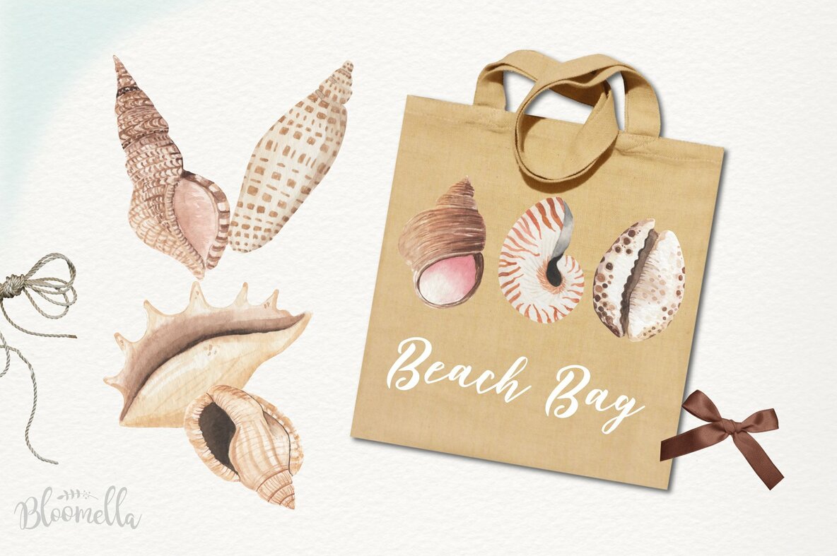 Sea Shells Elements Watercolor Package 6