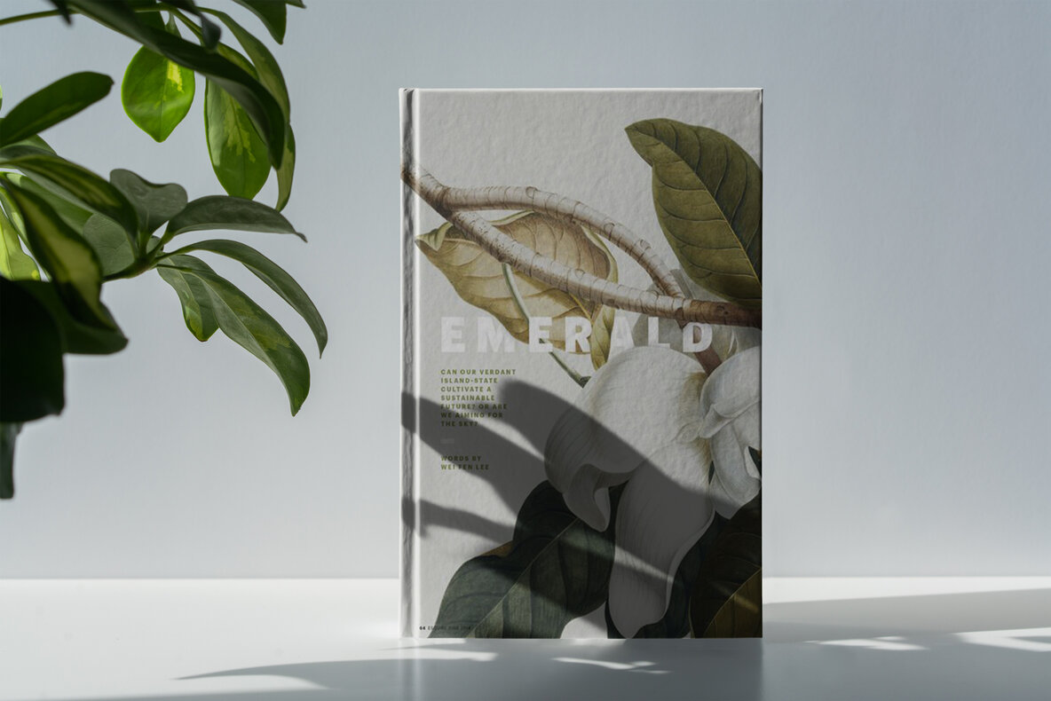 Book Hardcover Shadows Collection Book Hardcover Shadows Collection