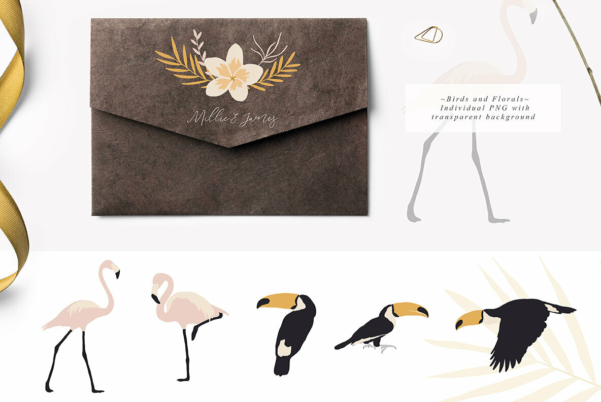 Tropic Paradise Collection 4