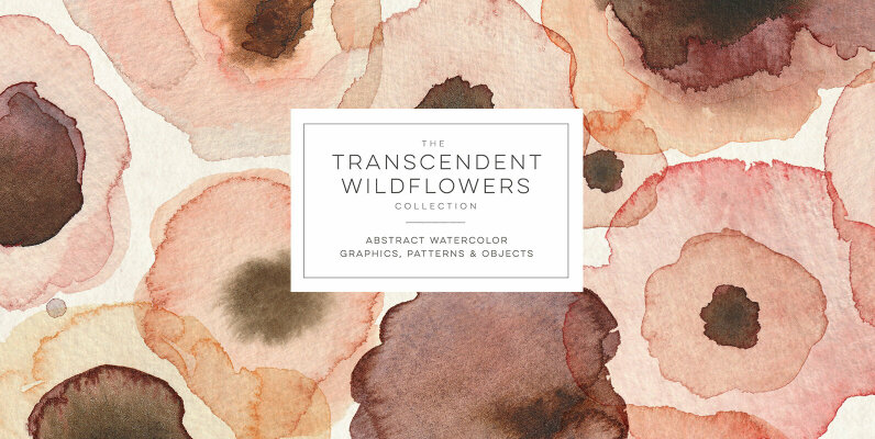 The Transcendent Wildflower Collection