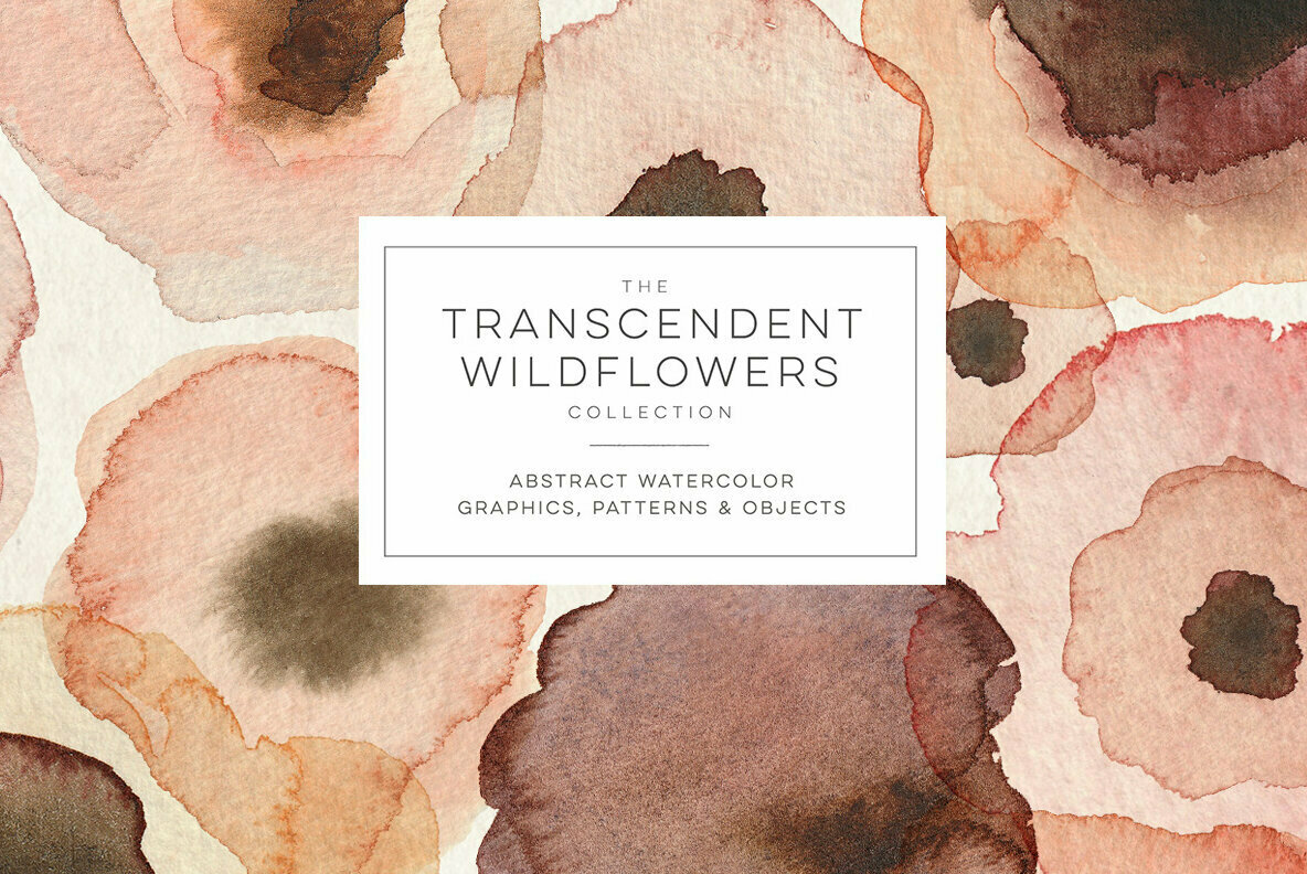 The Transcendent Wildflower Collection Abstract Watercolor Floral Patterns /& Clip Art