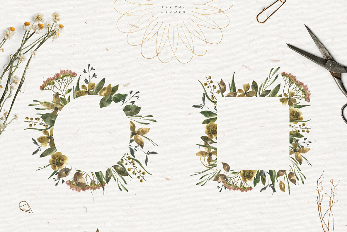 Herbarium Watercolor Collection Herbarium Watercolor Collection