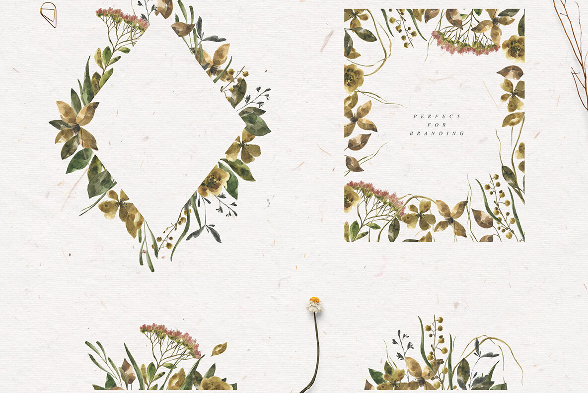 Herbarium Watercolor Collection Herbarium Watercolor Collection