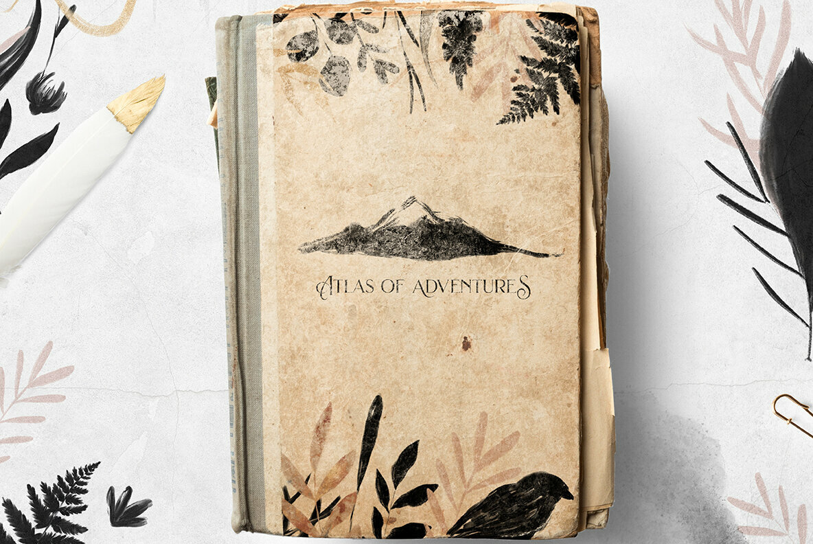 Her Day Collection 4