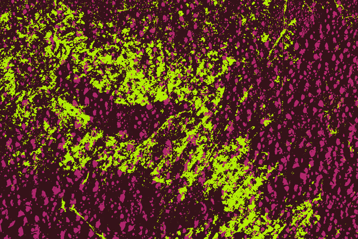 Contrast EPS Vectors 6