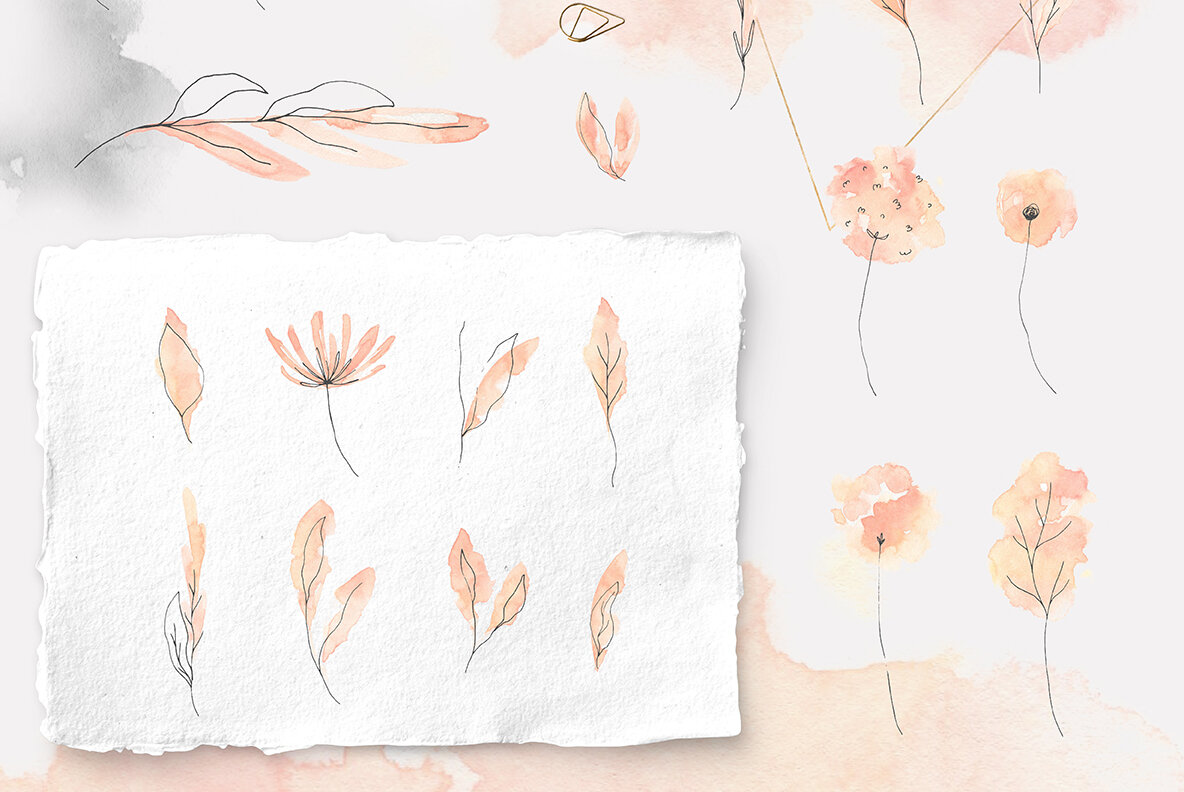 Rosy Glow Collection 12