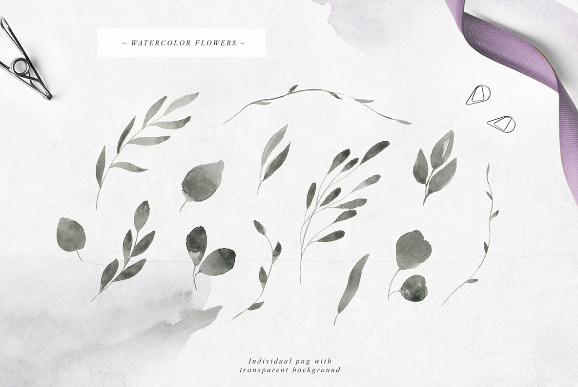 Magnifique Collection 5