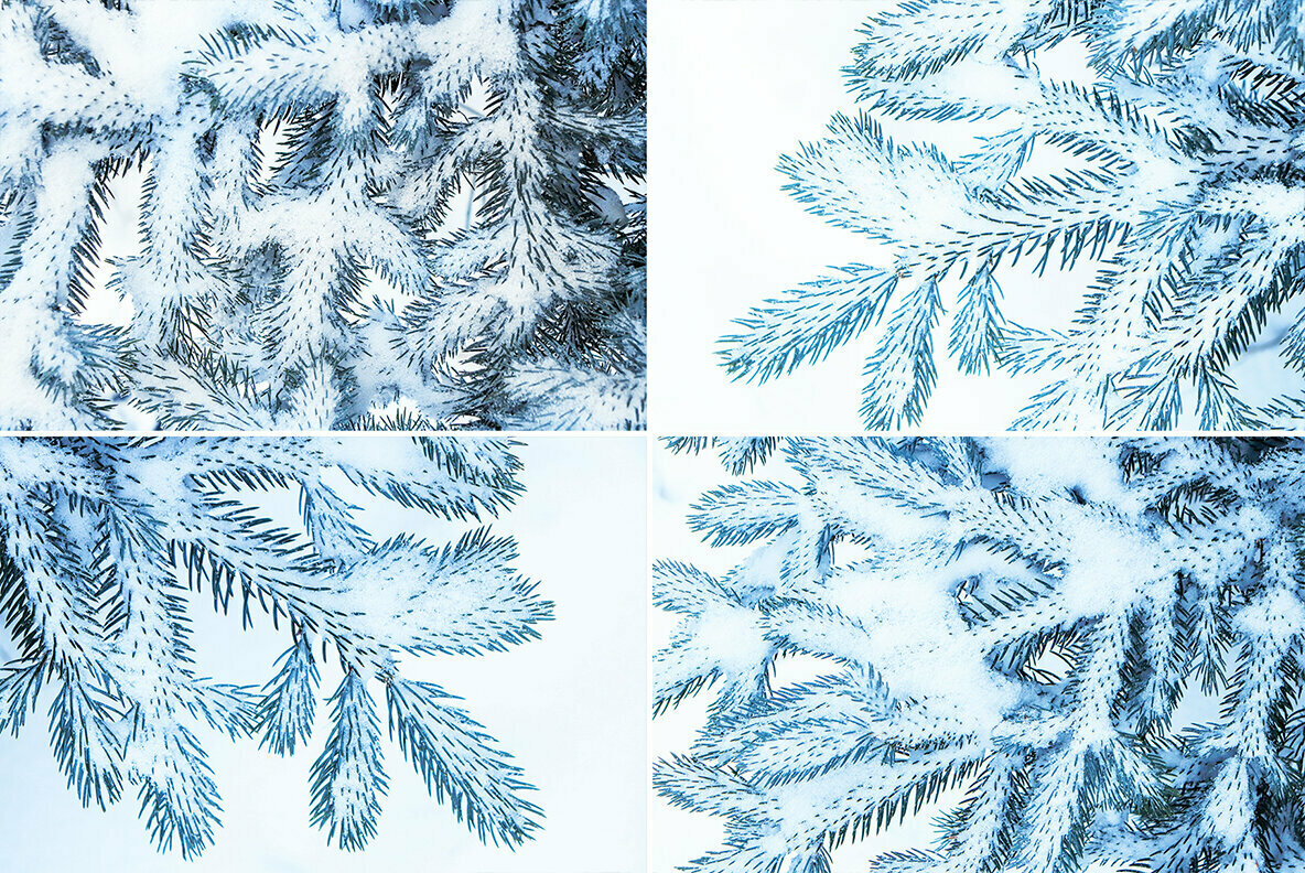 13 Blue Tree Background Textures