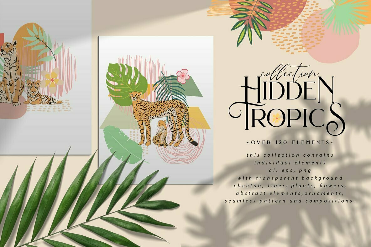 Hidden Tropics Collection 1