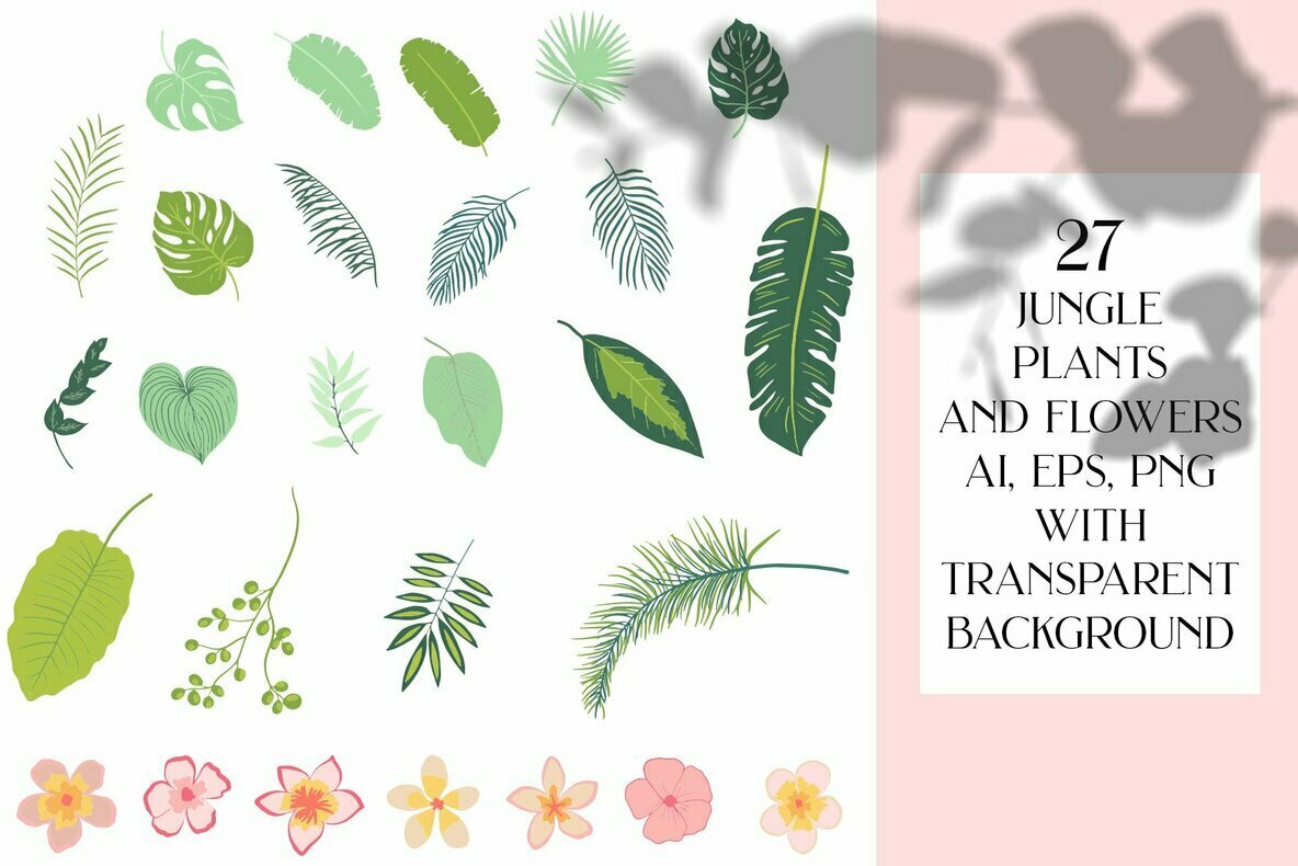 Hidden Tropics Collection 3