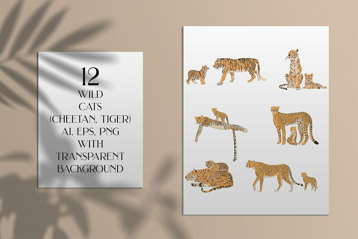 Hidden Tropics Collection 5