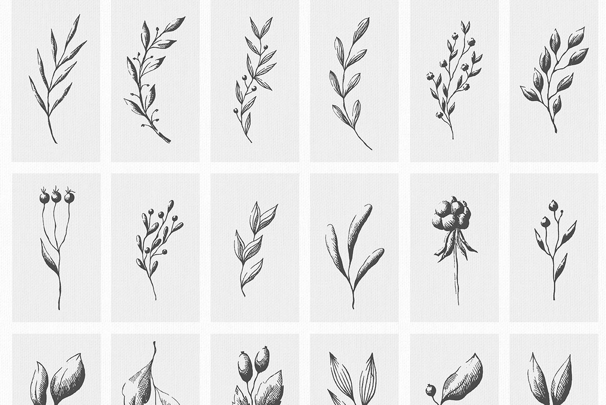 Strawberry Letter Collection 13