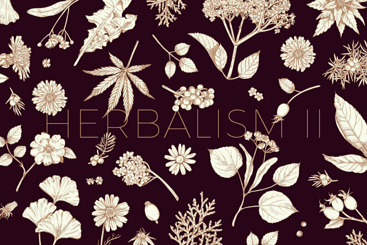 Herbalism II 1