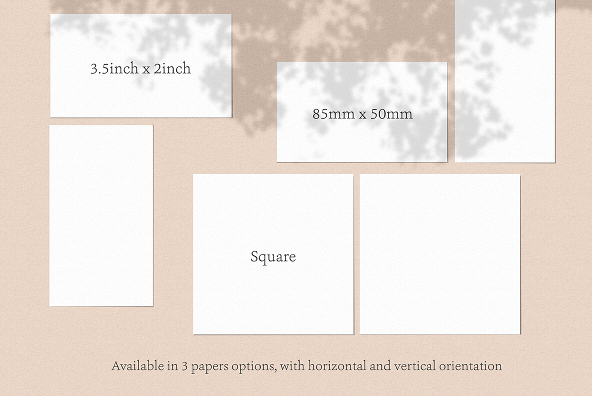 Namecard Mockup All Scenes Namecard Mockup All Scenes