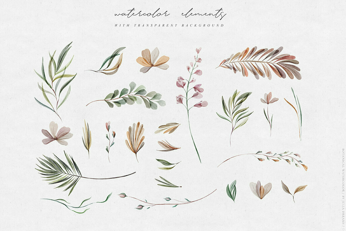 Watercolor Botanical Collection 3