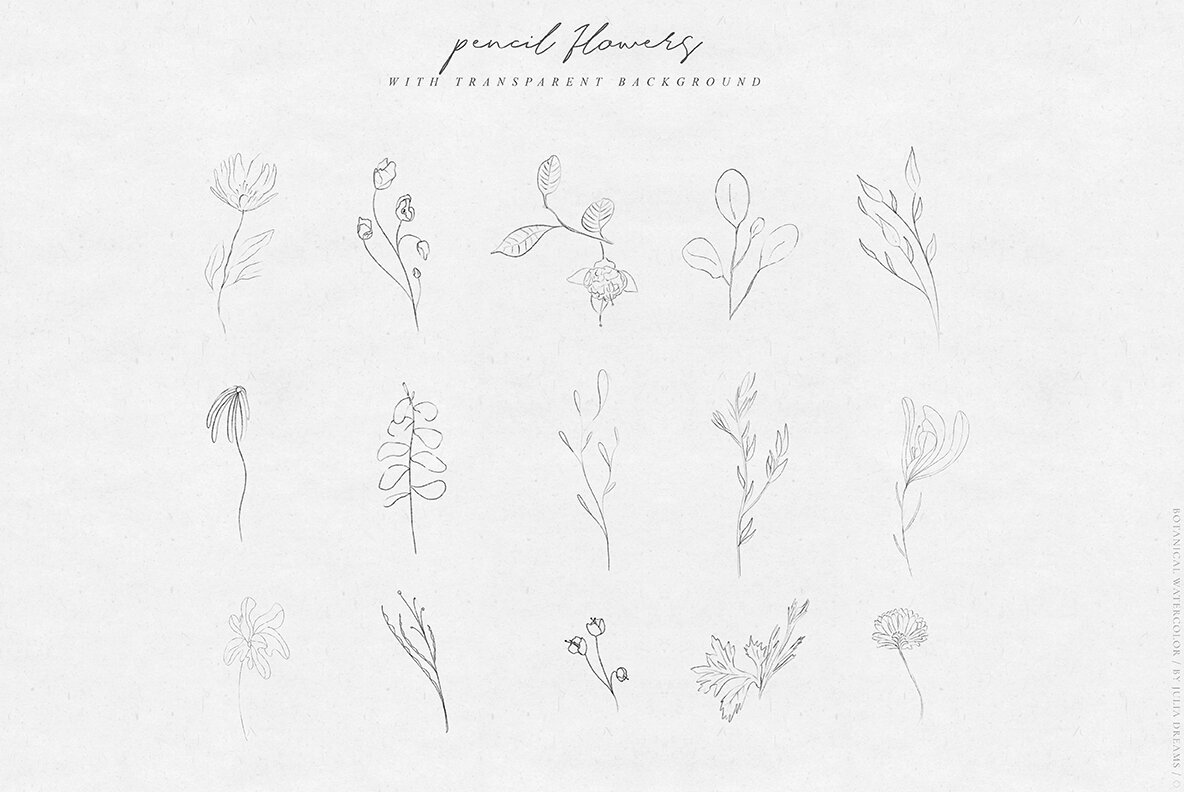 Watercolor Botanical Collection 9