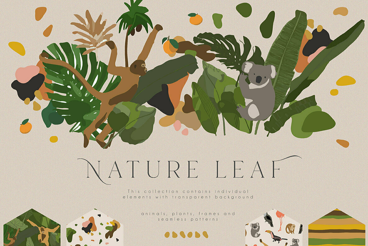 Nature Leaf Collection Nature Leaf Collection