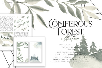 Coniferous Forest Collection
