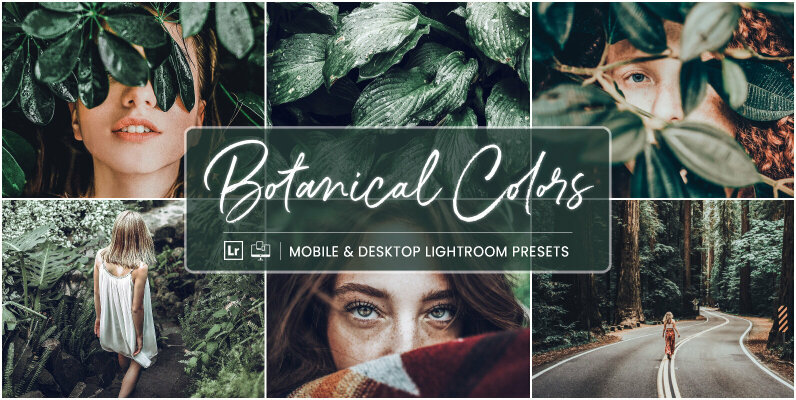 Botanical Colors   Mobile   Desktop Lightroom Presets