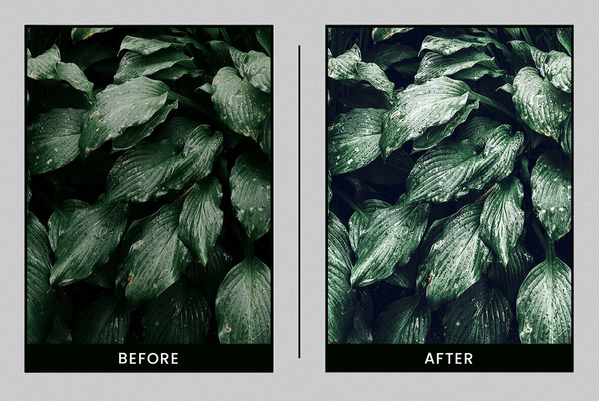 Botanical Colors Mobile Desktop Lightroom Presets Botanical Colors Mobile Desktop Lightroom Presets