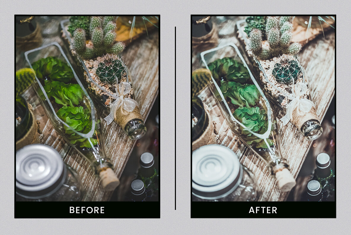 Botanical Colors Mobile Desktop Lightroom Presets Botanical Colors Mobile Desktop Lightroom Presets